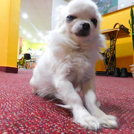 Senica, Garni 3* Senica